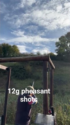 12g shotgun shooting