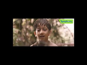 Symphony Siesta 70 Powerful Dessert Air Cooler - So Cool Is This | TVC Telugu