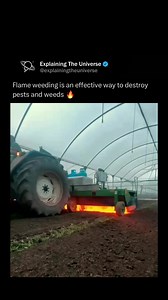 1.9M views · 9.9K reactions | Flame weeding is a chemical-free method of controlling weeds using propane torches to apply intense heat. This heat damages plant cells, causing the weeds to wilt and die. It works best on young broadleaf weeds and is widely used in organic and sustainable farming. #memes #explore #learn #reels | Explaining Everything | Facebook