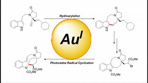 pyrroloazocine生物碱的发散式合成及生源合成验证-金催化的环化反应和光氧化还原反应