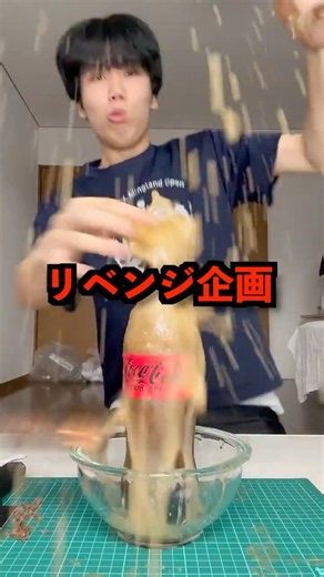 【リベンジ検証】メントスコーラの暴発をチョコバットで防げる説 #shorts #検証 #メントスコーラ #実験