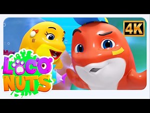 Peek a Boo Baby Shark Popular Nursery Rhyme and Videos for Kids