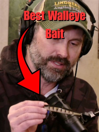 Revealing the Best Walleye Bait for Fall Fishing