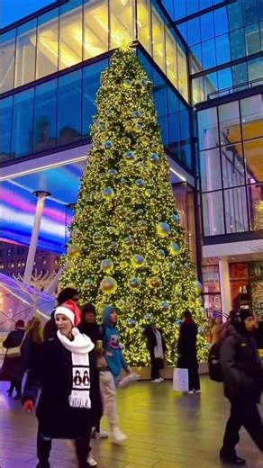 NYC Christmas walk ft Phoebe Buffay