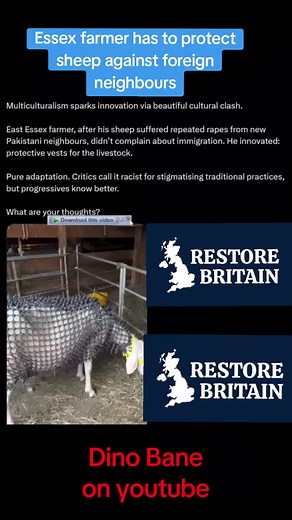#foryoupage❤️❤️ #farmers #sheep #restore #britain