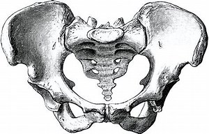 What happens if the baby gets stuck?