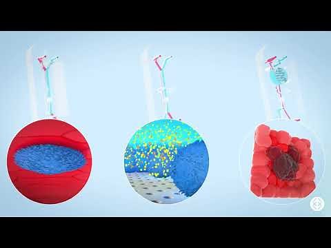 Explore the Emulate Organ-Chip Portfolio