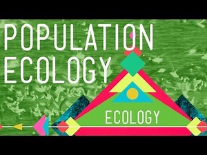 Nerdfighteria Wiki - Population Ecology: The Texas Mosquito Mystery - Crash Course Ecology #2