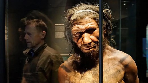 Are You Part Neanderthal? 7 Unexpected Clues in Your DNA