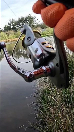 Fastest Stocked Trout Bite Ever???
