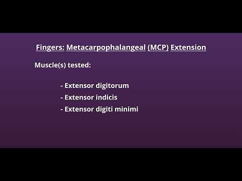 Manual Muscle Test for Metacarpophalangeal Extension