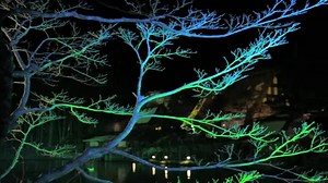 364K views · 6.5K reactions | Discover the Japan you've been...