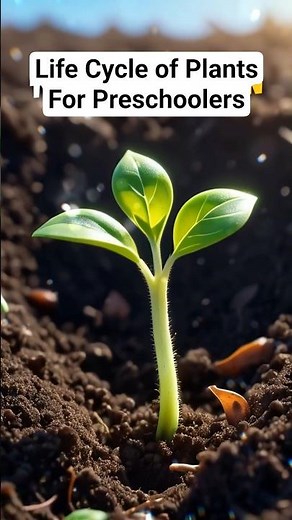 "How Plants Grow 🌱 Seed to Plant | Science For Kids