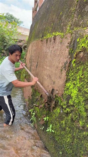 The process of clearing the riverbed of moss, beautifying the countryside