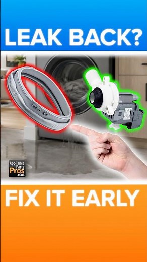 Washer Leaking From the Back or Bottom? Check These Parts