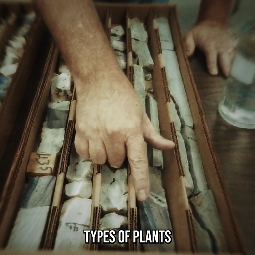 Extinction #6: Are We Already Living It? | The Why Files