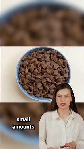 Can Dogs Eat Plums? A Comprehensive Guide for Pet Owners