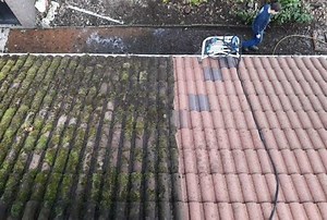 Roof Cleaning Services | Moss Removal | Chris Spruce Cleaning Services Ltd
