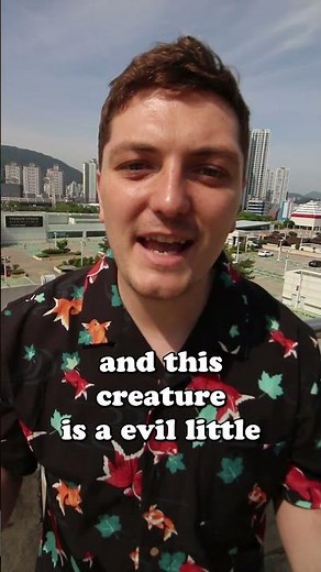 The Korean Myth of the Dokkaebi | The Korean Goblin