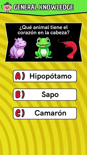 Fun General Knowledge Quiz to Test Your Skills