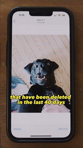 Part 1 | How to Recover Deleted Photos from your iPhone 📱