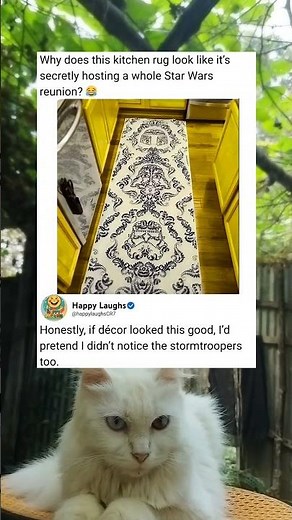 A Sweet and Funny Kitchen Floor Surprise