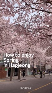 138K views · 3.2K reactions | Spring in Korea: Blossoms and Beyond...