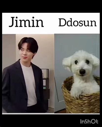 bts and their cute dog pic video 😍😍😍😍😍