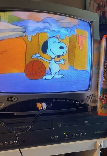 Snoopy & Woodstock – Thanksgiving Memories