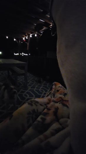 SimplyCady (@simplycady)’s videos with original sound - SimplyCady