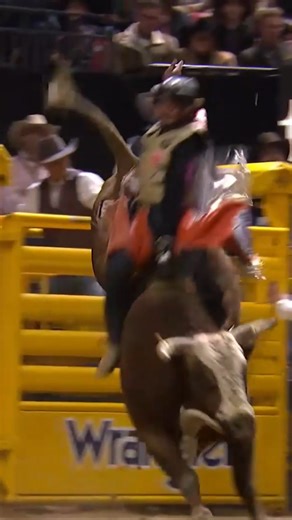 The Cowboy Channel on Instagram: "Magic Touch owned by Sankey Pro Rodeo & Phenom Genetics, left no doubt at this year’s NFR, showcasing the dominance that earned him the 2025 Bull of the Year title! 🔥"