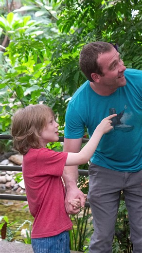 Butterfly Pavilion on TikTok