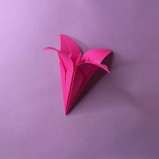Origami Universe trên TikTok