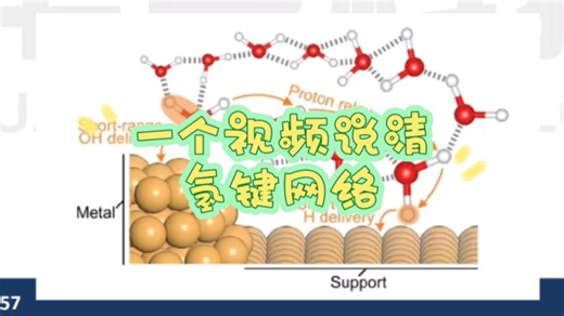 一个视频说清“氢键网络”！