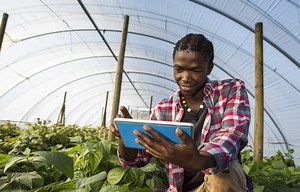 How to mobilise climate-smart agriculture finance