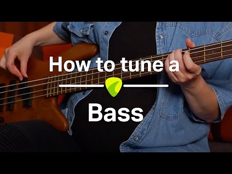 Bass Tutorial: How to Tune Your Bass