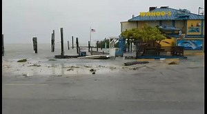 68K views · 455 reactions | Whale Harbor just a bit ago. From Captain Penny Phelps. | MCSO - Florida Keys | Facebook