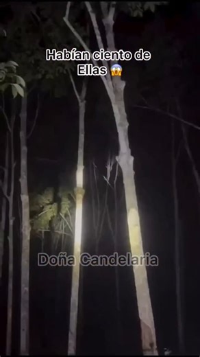 Alkatinyworld🧿 | Super Technique of climbing 🤣😜 #trendingreels #comedy #instagram #trending #reels @alkatinyworld | Instagram