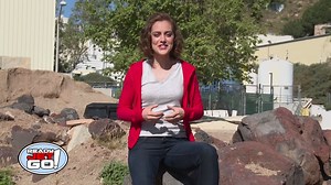 1.9K views · 37 reactions | Ever wondered what it’s like to visit...