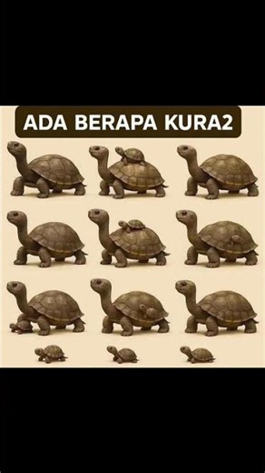 Let's Guess How Many Turtles There Are