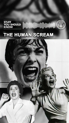 Have you ever thought much about screaming? Well we have, and today you’ll learn everything we learned. | Stuff You Should Know