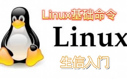 【生信入门】Linux基础命令新手教学②（文件替换，隐藏文件，恢复缓存文件，打包解包，压缩解压）