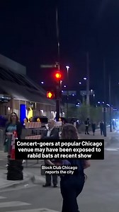 35K views · 116 reactions | Concert-goers at a popular Chicago music venue may have been exposed to potentially rabid bats at a recent show, city health officials warned | NBC Chicago | Facebook
