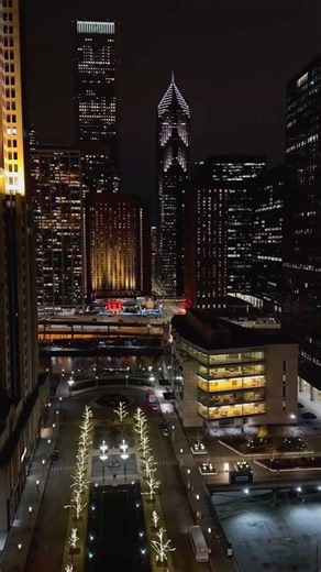 Chicago Skyline at Night 🌃 | Stunning City Lights #Shorts#viral #travel