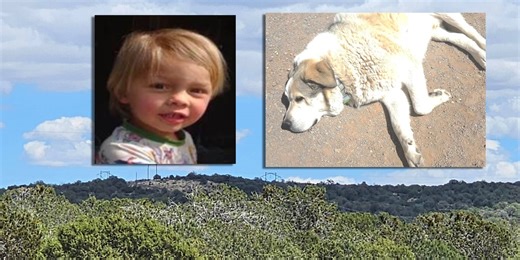 Dog credited with leading missing 2-year-old boy to safety in northern Arizona