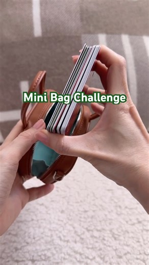 Mini Bag Challenge! What Fits?!! 🤯