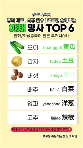 [우리차이나] 중국 마트 가기 전 필수 저장! 야채 이름 TOP 6 🥬✨