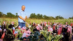 4 comments | Based on the bestselling book by Jonathan Safran Foer and narrated by co-producer Natalie Portman, Eating Animals is an urgent, eye-opening look at the environmental, economic, and public health consequences of factory farming. We're proud to bring this film to our community starting Friday, July 27. | Dragonfly Cinema | Facebook