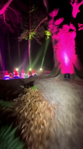 Gnomes in Forest Caught on Camera: Rave & Instruments Explained