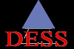 Dess Technologies Private Limited, Mumbai - Service Provider of Video Conferencing Software and Document Management Solutions
